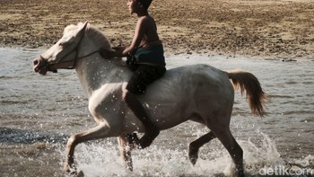 Anak-anak Kampung Adat Ratenggaro menunggang kuda di tepi pantai, tradisi yang masih terjaga erat hingga kini. Foto: Anggoro Suryo Jati/detikINET
