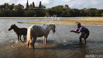 Xiaomi 15T mengabadikan harmoni: manusia, kuda, dan alam Sumba dalam satu bingkai yang hidup. Foto: Anggoro Suryo Jati/detikINET