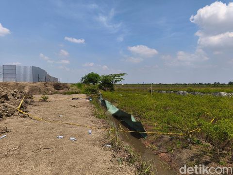 Lokasi dua remaja tewas kesetrum jebakan tikus di sawah dekat Lapangan Desa Pasir, Mijen, Demak, Senin (22/9/2025).