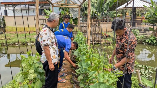 Pelatihan  budidaya buah melon di Lapas Kelas IIA Purwokerto.