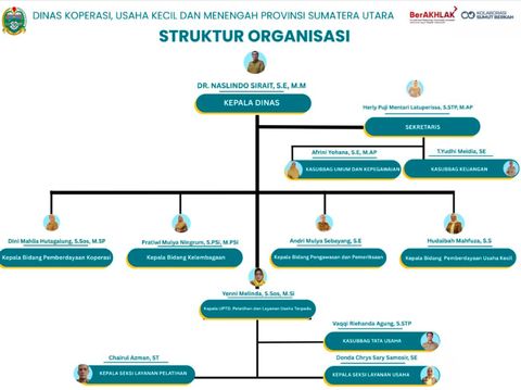 Struktur organisasi Dinas Koperasi UKM Sumut