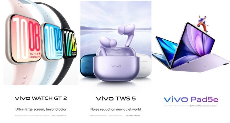 Vivo X300