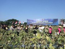 Brimob Polda Jatim Panen Melon-Semangka, Dukung Program Ketahanan Pangan