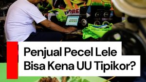 Video Cek Fakta: Penjual Pecel Lele di Trotoar Bisa Kena UU Tipikor?