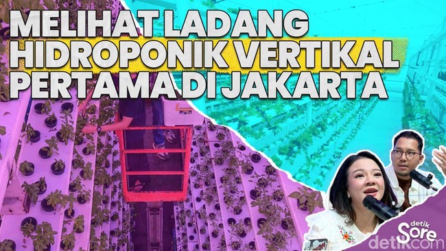 Video: Inovasi Pertanian Vertikal, Solusi Ketahanan Pangan Perkotaan