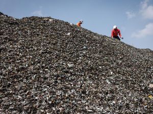 Gunungan Limbah Cangkang Kerang Cemari Kalibaru Cilincing