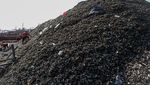 Gunungan Limbah Cangkang Kerang Cemari Kalibaru Cilincing