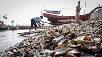 Akibatnya, kawasan pesisir Kalibaru mengalami pencemaran lingkungan dan pendangkalan. Kondisi ini dikhawatirkan mengganggu ekosistem laut sekaligus aktivitas warga sekitar. ANTARA FOTO/Muhammad Rizky Febriansyah