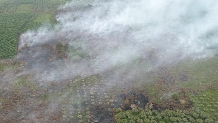Foto udara kebakaran hutan dan lahan (karhutla) di kawasan lahan gambut Desa Lapang, Kecamatan Johan Pahlawan, Aceh Barat, Aceh, Senin (22/9/2025). Kepala Pelaksana Badan Penanggulangan Bencana Daerah (BPBD) Kabupaten Aceh Barat Teuku Ronal Nehdiansyah menjelaskan kebakaran hutan dan lahan (karhutla) yang terjadi sejak enam hari terakhir terus meluas dari 8,8 hektar menjadi 12,8 hektar yang tersebar di Kecamatan Johan Pahlawan, Meureubo, Samatiga, Arongan Lambalek dan Kecamatan Woyla Barat sehingga berdampak munculnya kabut asap tebal ke kawasan pemukiman penduduk. ANTARA FOTO/Syifa Yulinnas/YU