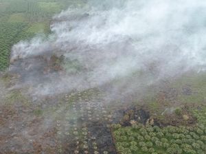 Sampit Dilanda Asap, Kualitas Udara Menurun Ancam Lansia-Balita
