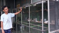 Kini dia telah memiliki puluhan burung perkutut khusus lomba dengan kualitas yang tak perlu diragukan lagi. Burung-burung hasil perternakannya pun telah banyak dikenal dikalangan pecinta perkutut lomba.