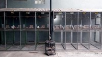 Tingginya minat masyarakat terhadap burung perkutut utamanya untuk lomba, membuat burung ini memiliki nilai jual yang cukup tinggi. Hal ini membuat banyak orang memutuskan untuk bertenak burung perkutut.