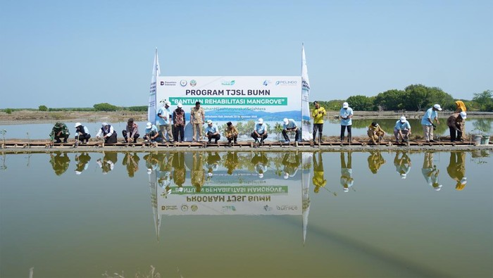 Pelindo Petikemas