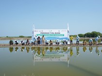 Dukung Program Prioritas, Pelindo Petikemas Tanam 50 Ribu Bibit Mangrove