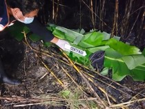 Petani Sragen Tewas Terpanggang Saat Bakar Lahan Tebu Usai Panen