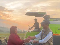 Bulog Sulselbar Kembali Terjun Beli Gabah ke Petani agar Harga Tetap Stabil