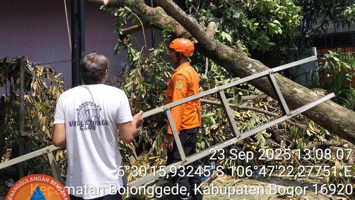 Pohon tumbang timpa rumah warga Bojonggede, Bogor