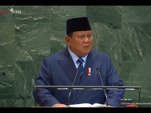Di Depan Pemimpin Dunia, Prabowo Ungkap RI Garap Tanggul Laut Raksasa 480 Km