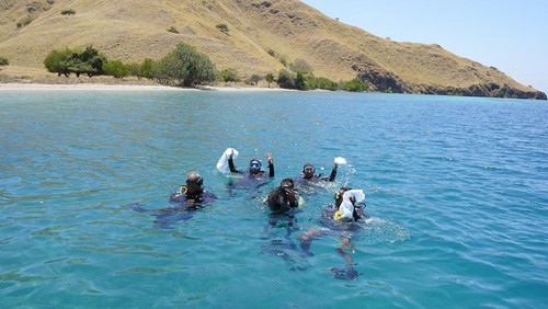 Penyelam memungut sampah plastik yang tersangkut di terumbu karang di perairan Gili Lawa Darat, Taman Nasional Komodo, Manggarai Barat, NTT.
