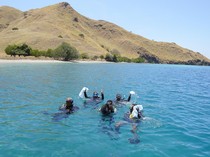 Sampah Plastik di Taman Nasional Komodo Masih Jadi PR yang Belum Teratasi