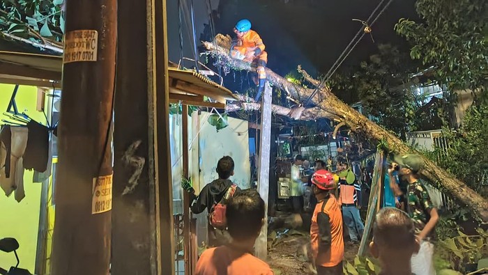 Tim BPBD Kota Bogor evakuasi pohin tumbang timpa rumah akibat hujan deras disertai angin kencang.