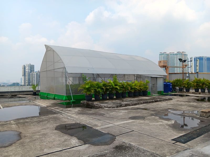 Urban Farmin di Atas Mayestik