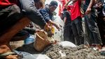 Aksi Cor Badan Jadi Sorotan di Hari Tani Nasional