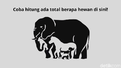 Cuma Si Jeli yang Bisa Jawab Semua dengan Benar, Kamu Termasuk?