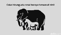 Coba teliti dengan saksama, sebenarnya berapa jumlah hewan di gambar ini? (Foto: Aida Adha Siregar/detikHealth)