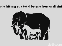 Cuma Si Jeli yang Bisa Jawab Semua dengan Benar, Kamu Termasuk?