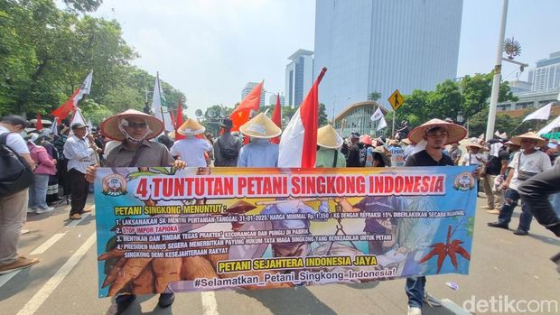 Demo Hari Tani di Patung Kuda Jakpus. (Taufiq/detikcom)