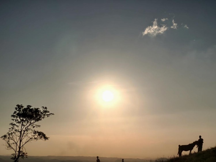 Hasil Kamera Xiaomi 15T