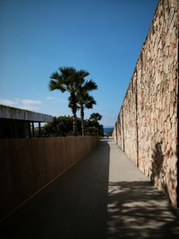Hasil Kamera Xiaomi 15T