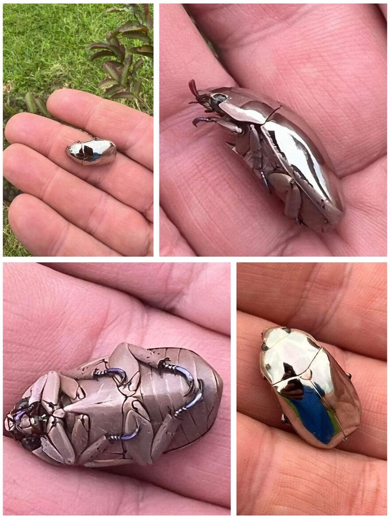 Hewan Aneh Bukan Editan AI