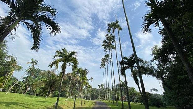 Atraksi menarik di Kebun Raya Purwodadi