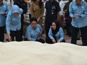 Titiek Soeharto Sidak Gudang Bulog Malut, Temukan Beras Berwarna Abu-Abu