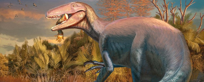 Megaraptor
