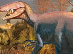 Fosil Dinosaurus Ganas Megaraptor Ditemukan Santap Buaya