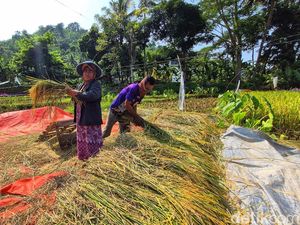 Kala Petani Sukabumi Menua