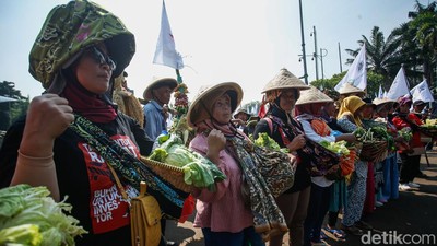 Petani Kenakan Caping dan Bawa Hasil Tani Saat Aksi di DPR