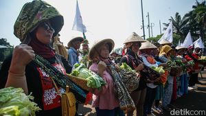 Petani Kenakan Caping dan Bawa Hasil Tani Saat Aksi di DPR