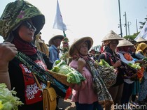 Petani Kenakan Caping dan Bawa Hasil Tani Saat Aksi di DPR
