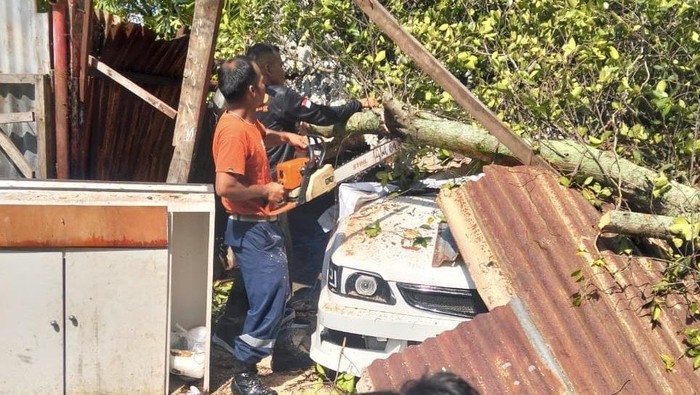 Sebuah pohon berukuran besar tumbang dan menimpa bengkel serta satu mobil di Jalan Bunda Dalam, Kota Padang. (Dok. BPBD Padang)