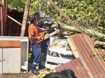 Pohon Tumbang Timpa Bengkel-Rusak 1 Mobil di Padang