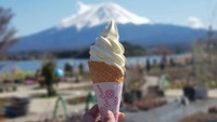 Pria yang juga sukses sebagai pebisnis ini kabarnya pernah meminta es krim secara spesifik. Ia ingin es krim bentuk Gunung Fuji, seperti yang diungkap oleh Motoko Rich, Kepala Biro Tokyo The New York Times. Foto: Mashed/Tapas Magazine