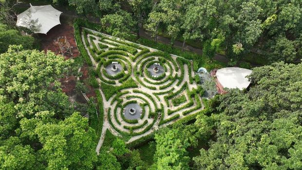 Taman Labirin di Kebun Raya Purwodadi