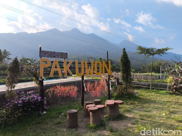Potret Pesona Agrowisata Pakuwon Kuningan