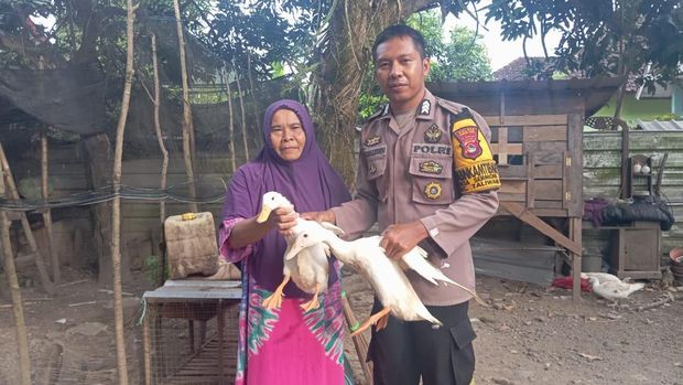Brigpol bantu peternak dan petani di Taliwang, Sumbawa Barat, NTB