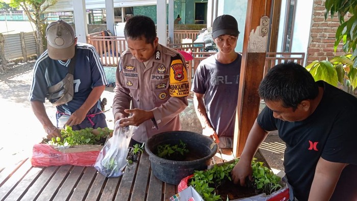 Brigpol bantu peternak dan petani di Taliwang, Sumbawa Barat, NTB