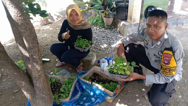 Brigpol bantu peternak dan petani di Taliwang, Sumbawa Barat, NTB